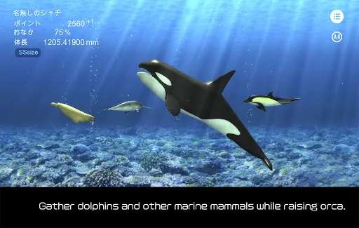 Orca  and marine mammals | Permainan | XWorld