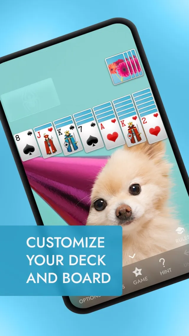 ⋆Spider Solitaire+ | Permainan | XWorld
