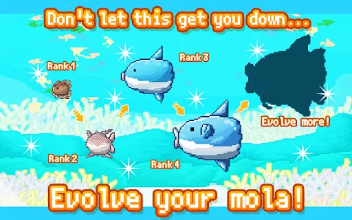 Survive! Mola mola! | Games | XWorld