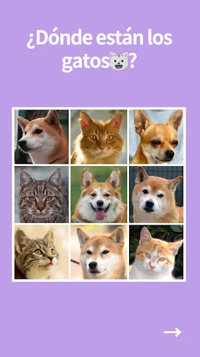 No se permiten robots | juego | XWorld