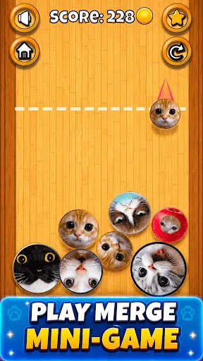 Meme Cat Sim: Cozy Home | Games | XWorld