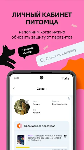 Четыре Лапы - зоомагазин | Игры | XWorld