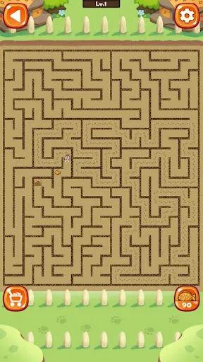 Maze Cat - Rookie | เกม | XWorld
