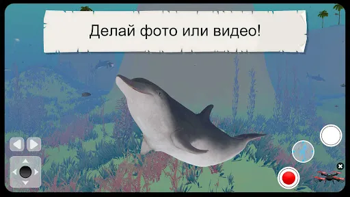 Дикие животные 3D Cафари | Игры | XWorld