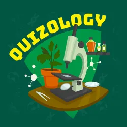 XWorld | Quizology