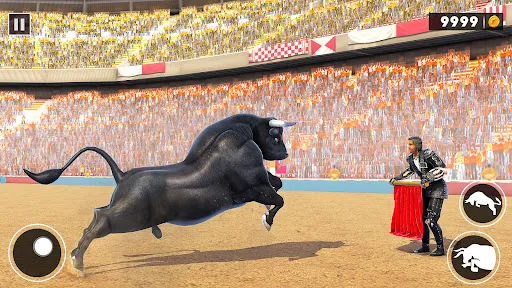 Bull Fighting Game: Bull Games | Games | XWorld