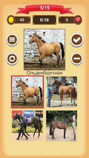 Лошади - Викторина | Игры | XWorld