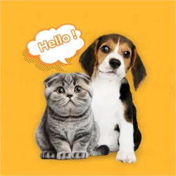 XWorld | Dog & Cat Translator Prank App