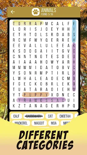 Word Search & Word Games | Games | XWorld