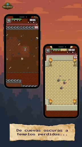 Tibia Chronicles: Survivors | juego | XWorld