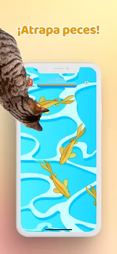 Juego para Gatos－Raton y Peces | juego | XWorld