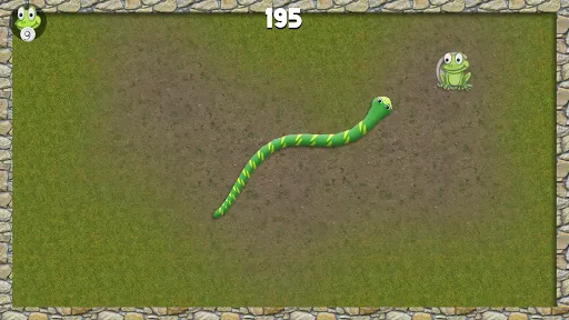 Snake Classic - The Snake Game | Games | XWorld Snake Classic - The Snake Game | Games | XWorld