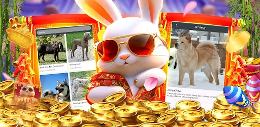 Crazy777 Rabbit PG Dogs-World | Jogos | XWorld