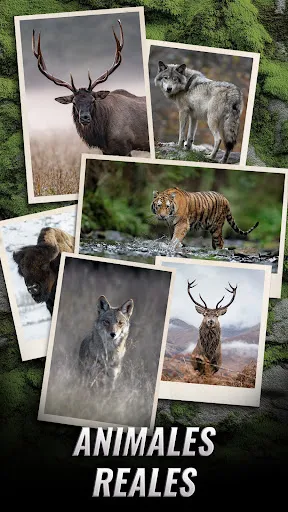 Trophy Hunter – Casual Hunting | 游戏 | XWorld