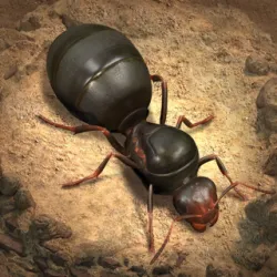 XWorld | The Ants: Underground Kingdom