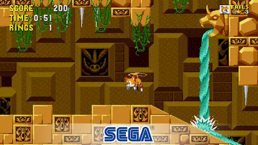 The Hedgehog 2 Classic | Jogos | XWorld