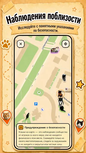 CatchCat | Игры | XWorld CatchCat | Игры | XWorld