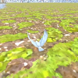 XWorld | EagleFly3D