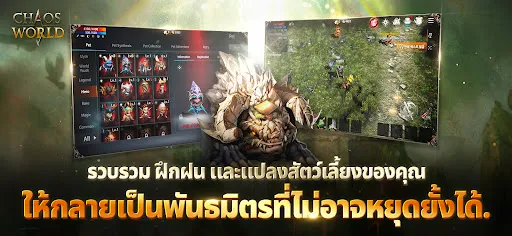 Chaos W | เกม | XWorld