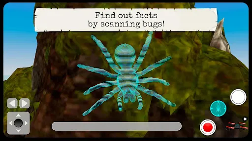 Bugs & Insects VR/AR Kid Game | Games | XWorld