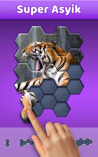 Hexa Jigsaw Puzzle ® | Permainan | XWorld Hexa Jigsaw Puzzle ® | Permainan | XWorld
