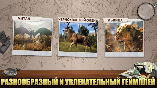 Охотник - Дикий Снайпер | Игры | XWorld