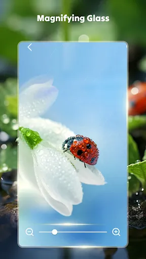 Zoomin Pro | เกม | XWorld Zoomin Pro | เกม | XWorld