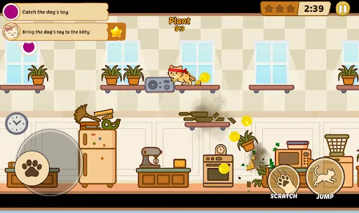 El Gato - the Cat | Games | XWorld