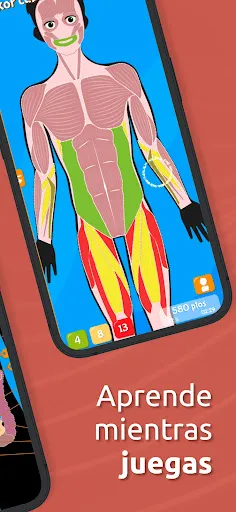 Atlas Anatomía: Cuerpo Humano | juego | XWorld