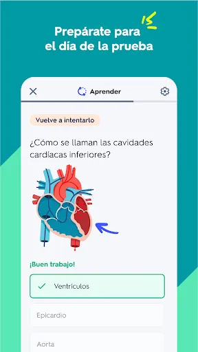 Quizlet: fichas creadas con IA | juego | XWorld