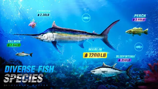 Fishing Master | เกม | XWorld