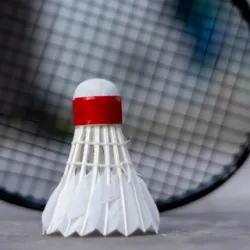 XWorld | Badminton 2D