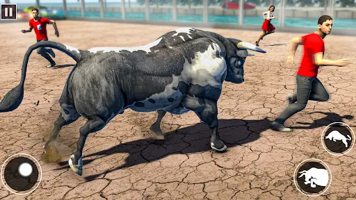 Bull Fighting Game: Bull Games | Games | XWorld