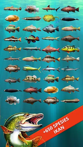 Let's Fish: Mari Memancing | Permainan | XWorld Let's Fish: Mari Memancing | Permainan | XWorld