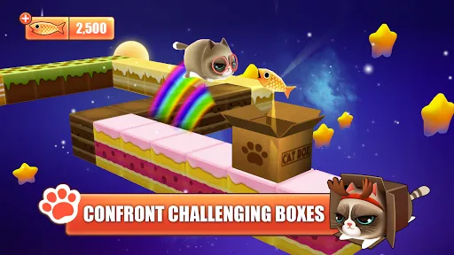 Kitty in the Box | เกม | XWorld