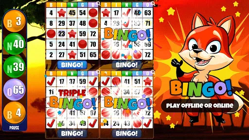 Bingo absoluto | juego | XWorld