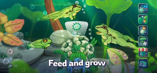 Pondlife — Relaxing Fish Game | 游戏 | XWorld