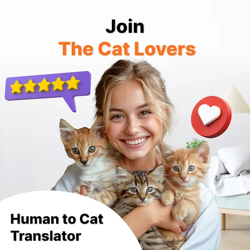 Human to Cat Translator | Games | XWorld