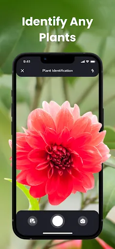 PlantIn Plant Identifier, Care | Games | XWorld PlantIn Plant Identifier, Care | Games | XWorld