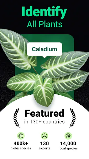 Plantum - Plant Identifier | Games | XWorld
