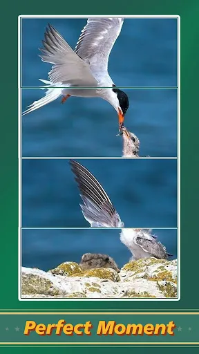 Jigsaw Puzzle Art: Relax Book | Игры | XWorld