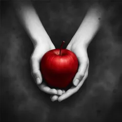 XWorld | Сумерки: Викторина