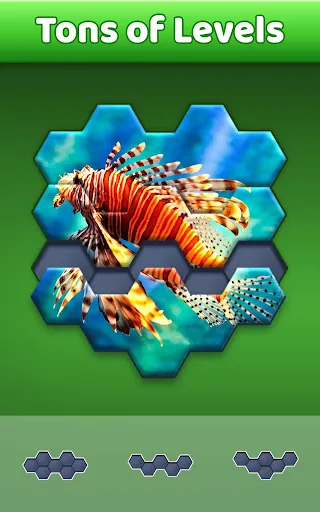 Hexa Jigsaw Puzzle ® | Games | XWorld