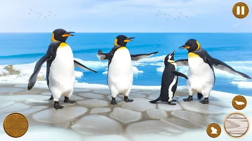 Arctic Penguin Life Simulator | Games | XWorld
