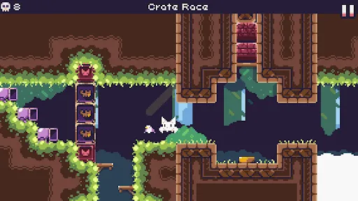 Cat Bird | Games | XWorld Cat Bird | Games | XWorld