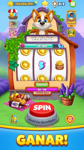 Coin Chef | juego | XWorld