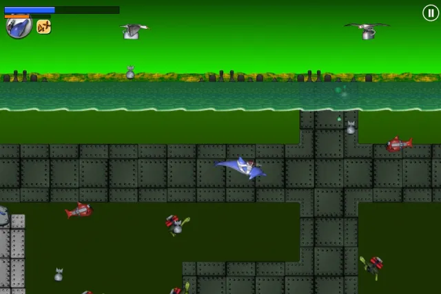Laser Dolphin | Games | XWorld