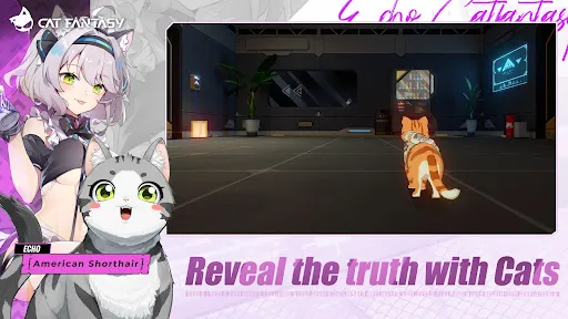 Cat Fantasy:PH | Games | XWorld