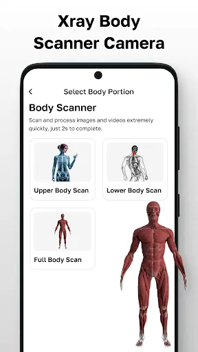 Xray Body Scanner Camera | 游戏 | XWorld