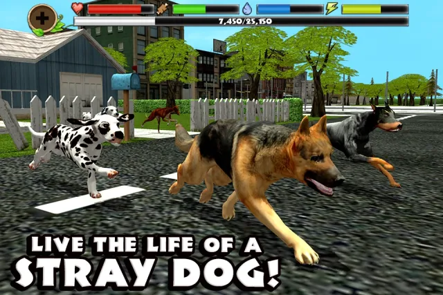 Stray Dog Simulator | Jogos | XWorld